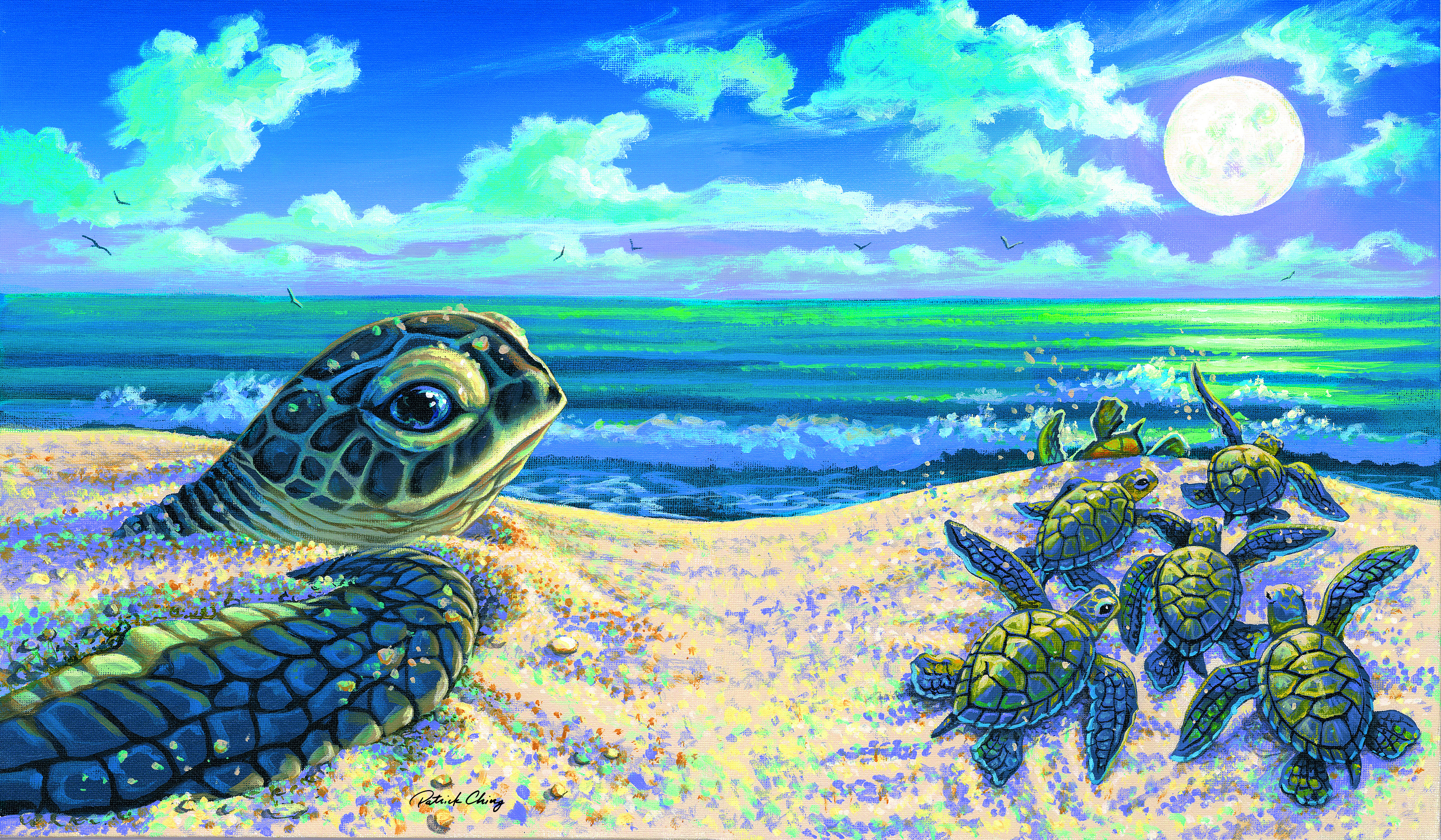 イラストの原画　ネイチャーアート　Paradise Painting In Paradise on Spectrum OC16